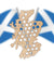 Scotland Beer Cap Map Scotland Beer Cap Holder Beer Cap Display Scottish Bar Pub Wall Art Gift for Him Scotland Man Cave Gift