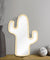 Desert Cactus Decorative Acrylic Wall Mirror With Wooden Back Cactus Hanging Interiors Home Decor Make-up Mirror Cactus Gift